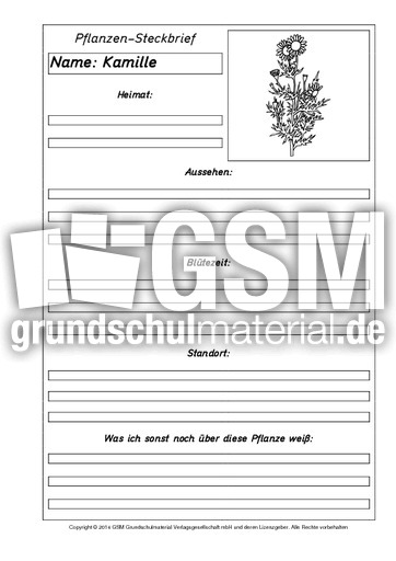 Pflanzensteckbriefvorlage-Kamille-SW.pdf